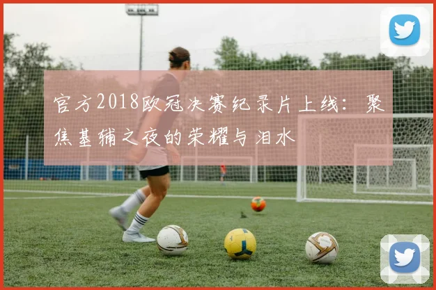 官方2018欧冠决赛纪录片上线：聚焦基辅之夜的荣耀与泪水